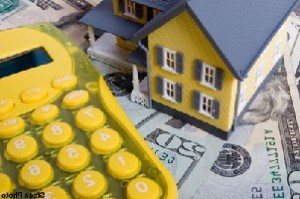 Tax Collector and Your Collection
